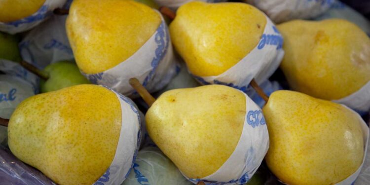 EXPORTACIONES: LA ADUANA ESTABLECIÓ VALORES DE REFERENCIA PARA PERAS Y MANZANAS