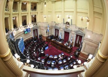 LA OPOSICIÓN BUSCA TRABAR EL NUEVO PROYECTO DEL GOBIERNO POR BIOCOMBUSTIBLES Y EXIGE PRORROGAR EL RÉGIMEN ACTUAL