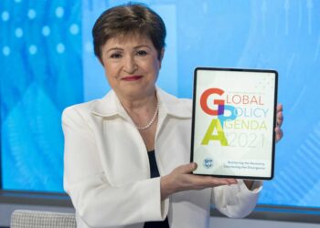 GUZMÁN SOLICITÓ ANTE EL G20 MECANISMOS PARA REPARTIR LA AYUDA DEL FMI