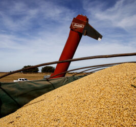 EL GOBIERNO ADVIERTE QUE TIENE «EN ANÁLISIS» UN AUMENTO DE LAS RETENCIONES