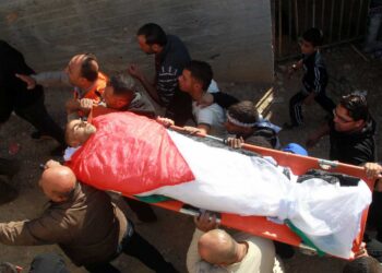 EL FRENTE DE IZQUIERDA SE MOVILIZARÁ MAÑANA A LA EMBAJADA DE ISRAEL EN REPUDIO A LOS ATAQUES CONTRA PALESTINA