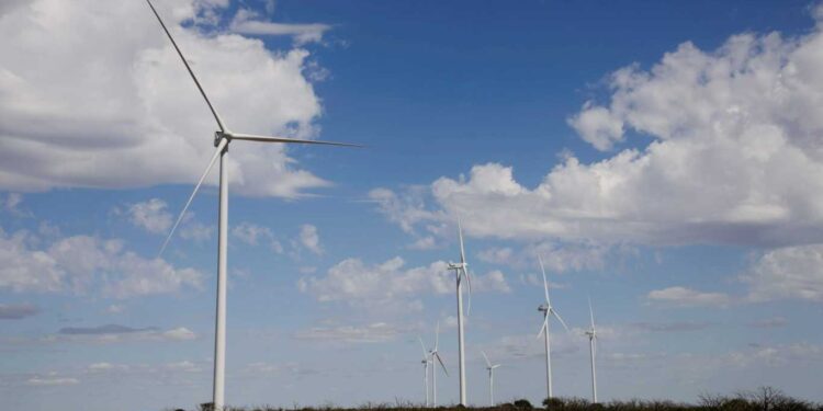 LA UIF SERÁ QUERELLANTE EN UNA DE LAS CAUSAS POR LOS PARQUES EÓLICOS