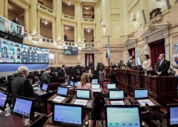 BIOCOMBUSTIBLES: CAMAÑO CUESTIONÓ EL PROYECTO QUE IMPULSA EL OFICIALISMO EN DIPUTADOS