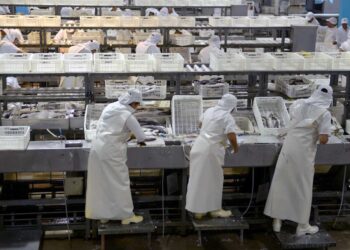 LOS PRECIOS DE LOS ALIMENTOS SUBIERON 4,5% EN ABRIL, SEGÚN ESTUDIO PRIVADO