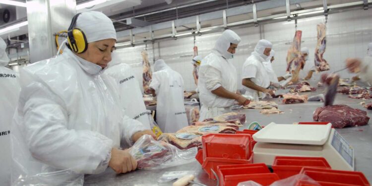 EL PRECIO DE LA CARNE Y SUS DERIVADOS SUBIÓ MÁS QUE EL RESTO DE LOS ALIMENTOS, BIENES Y SERVICIOS EN TODO EL PAÍS