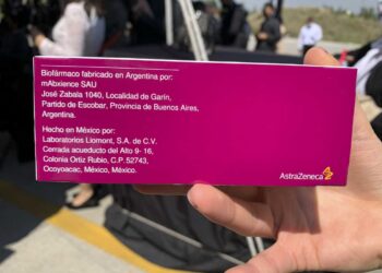 VIZZOTTI RATIFICÓ QUE SE ESPERA «UN NÚMERO IMPORTANTE» DE VACUNAS SPUTNIK V Y ASTRAZENECA PARA LAS PRÓXIMAS SEMANAS