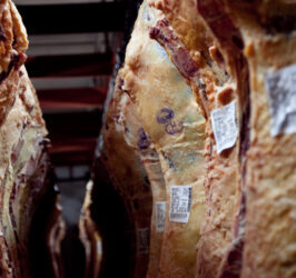 EL GOBIERNO SE REUNIRÁ MAÑANA CON LA MESA DE ENLACE Y ANUNCIARÍA UNA FLEXIBILIZACIÓN EN LOS CUPOS DE EXPORTACIÓN PARA LA CARNE