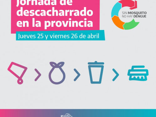 Salud realizará nuevas jornadas de descacharrado intensivo en municipios