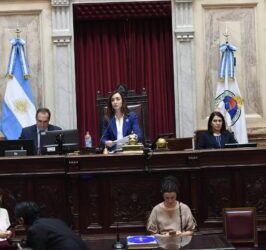 El Senado busca sesionar la semana próxima: dos temas en danza y otras incógnitas