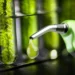 Autorizan un incremento en el precio de los biocombustibles para mayo