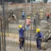 El empleo privado de Milei en números: un monotributista ganado por cada dos puestos formales perdidos