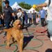 YA LLEGA EL FESTEJO POR EL DÍA DEL ANIMAL Y EL CUMPLEAÑOS DE LA VETERINARIA MUNICIPAL