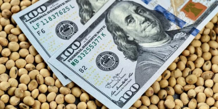 La agroindustria aportó el 92% de las divisas netas que ingresaron al país en los últimos cinco años
