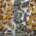 «El rompecabezas más difícil del mundo»: reconstruyeron frescos romanos de hace más de 2.000 años