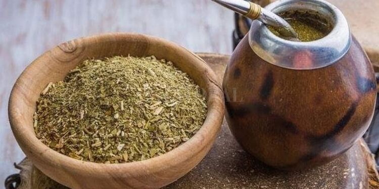 Yerba mate: desde el INYM advierten que el sistema yerbatero “está en riesgo”