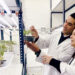Ciencia con impacto productivo: reutilizan residuos cerveceros para generar productos con valor agregado