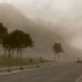 Alerta meteorológica por viento fuerte en Buenos Aires y otras siete provincias: las recomendaciones