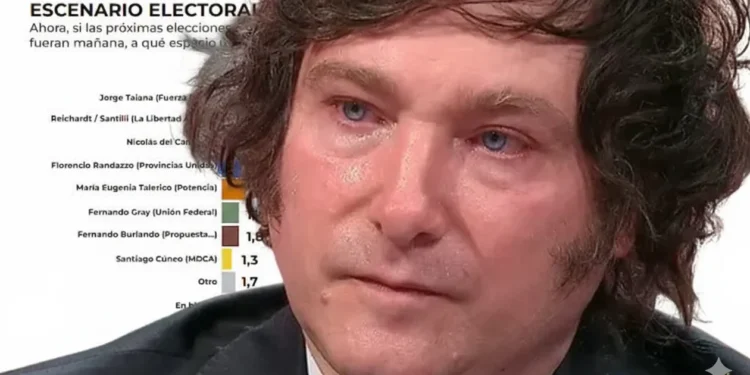 La encuesta que preocupa a Milei en «la madre de todas las batallas»