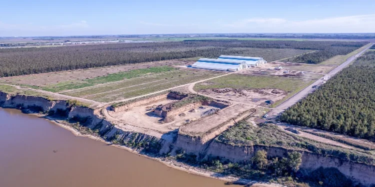 Terminal Timbúes se suma al régimen de subsidios RIGI