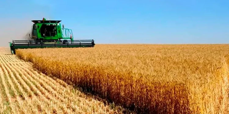 El sector agroexportador liquidó U$S 1.117 millones en octubre