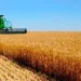 El sector agroexportador liquidó U$S 1.117 millones en octubre