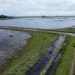 El Gobierno declaró y prorrogó la emergencia agropecuaria en zonas de Entre Ríos, Buenos Aires y Río Negro
