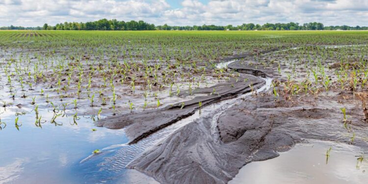 La Provincia exime del Impuesto Inmobiliario Rural a campos de 19 distritos afectados por inundaciones