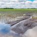 La Provincia exime del Impuesto Inmobiliario Rural a campos de 19 distritos afectados por inundaciones