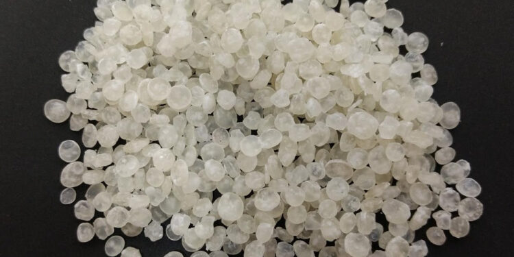 Un equipo del CONICET y una empresa de Misiones desarrollan bolsas biodegradables a partir de almidón de mandioca