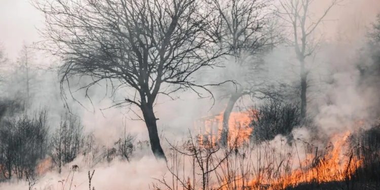 Riesgo «extremo» por incendios forestales en varias provincias