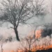 Riesgo «extremo» por incendios forestales en varias provincias