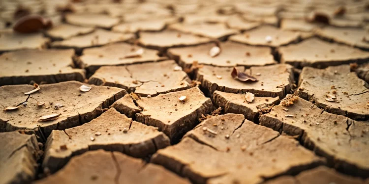 El Gobierno declaró la emergencia agropecuaria por sequía en Neuquén