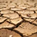 El Gobierno declaró la emergencia agropecuaria por sequía en Neuquén