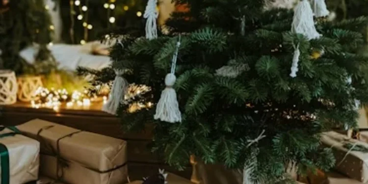 Bancos y fintech se cargan al hombro a las textiles nacionales y le pelean el árbol de Navidad a Shein y Temu