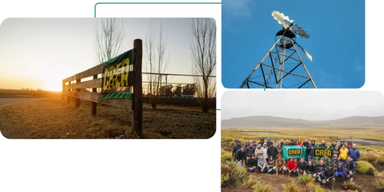 El campo espera por el plan Milei: la siembra será menor en 2026 y «no es buen momento para invertir»