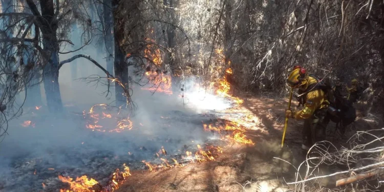 Incendios en Chubut: aguardan a las lluvias para sofocar las llamas