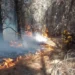 Incendios en Chubut: aguardan a las lluvias para sofocar las llamas