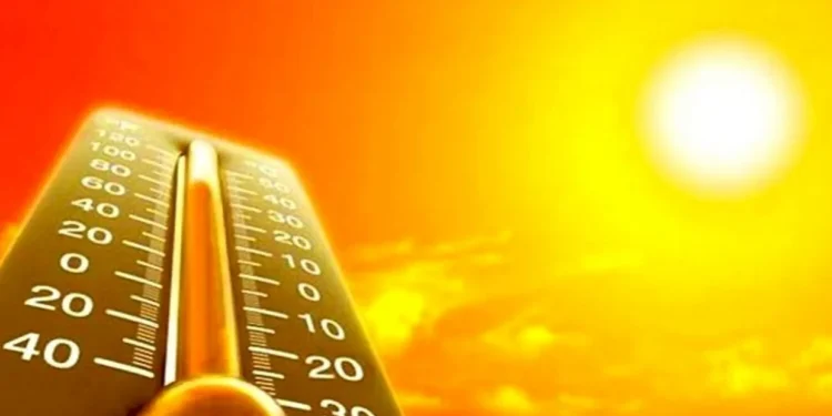 Ola de calor: la humedad ya no es lo que mata, el sol de 10 a 14 calcina