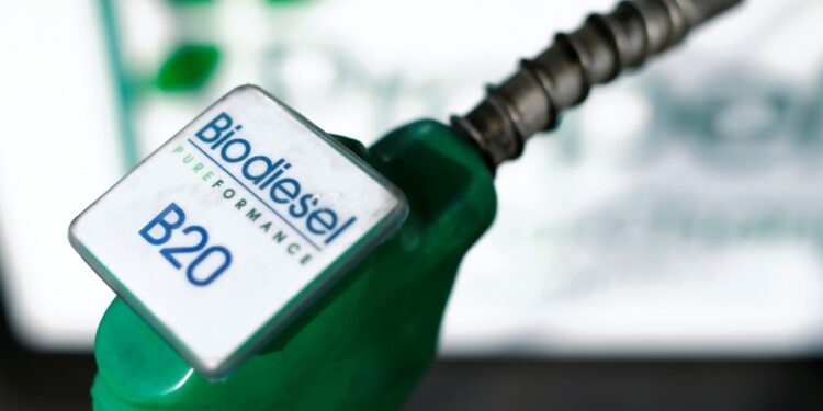 Alertan que Europa cierra las exportaciones de biodiésel de soja