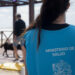 La Provincia lanzó la campaña de “Verano Cuidado”
