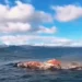 Una lancha se incendió en el Nahuel Huapi y el único tripulante se tiró al agua para sobrevivir