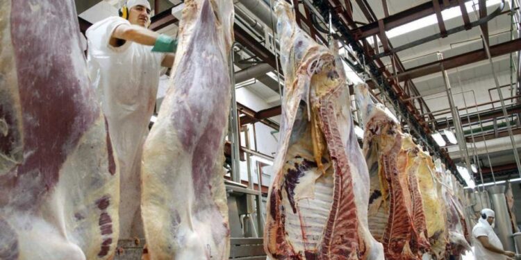 Cierre del frigorífico San Roque en Morón: 140 empleados despedidos