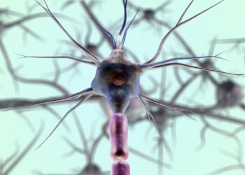 CÁNCER DE COLON: LA IMPORTANCIA DE TENER HÁBITOS SALUDABLES Y CONTROLES MÉDICOS A TIEMPO