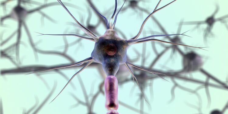CÁNCER DE COLON: LA IMPORTANCIA DE TENER HÁBITOS SALUDABLES Y CONTROLES MÉDICOS A TIEMPO
