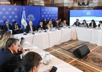 Senado reanuda el debate por la Inviolabilidad de la Propiedad Privada con invitados del peronismo