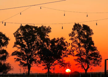 TRES HORIZONTES Y UNA MEMORIA: VIAJE POR ISLA MARTÍN GARCÍA, LA NIÑA Y BERUTI 