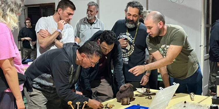 ¿HONGOS Y CORDERO? DOS FIESTAS QUE CELEBRAN Y CUENTAN HISTORIAS EN LA PROVINCIA DE BUENOS AIRES