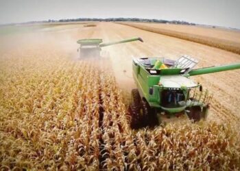 El Estado se queda con el 62,5% de la renta agrícola y la Guerra de Medio Oriente impactó en los costos