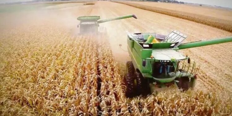 El Estado se queda con el 62,5% de la renta agrícola y la Guerra de Medio Oriente impactó en los costos