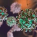 Hantavirus: no se notificaron nuevos casos en Argentina